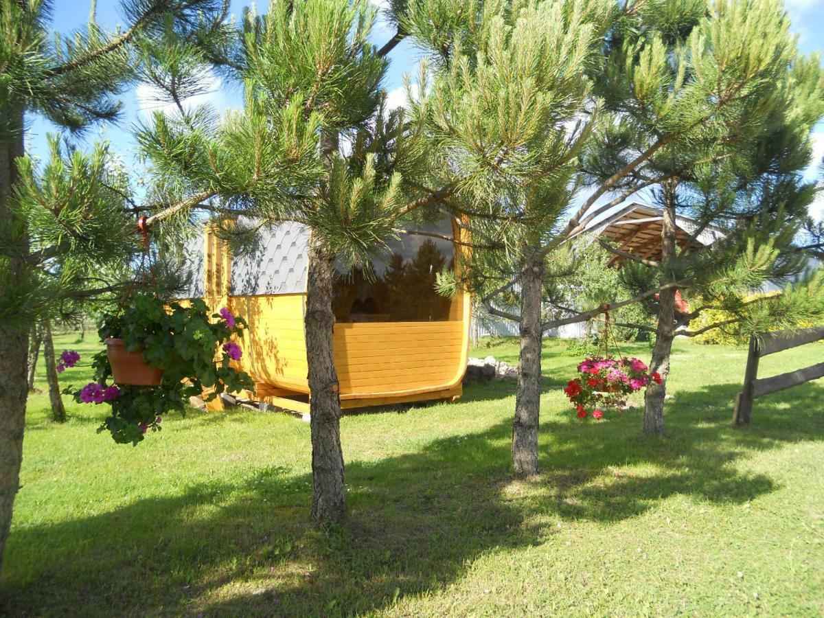Hotel Vetras Rude Zewnętrze zdjęcie